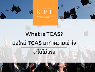 มือใหม่ทำความเข้าใจ TCAS 1