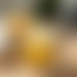 Orange Creamsicle Mocktail