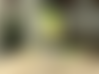 The Best Non-Alcoholic Hugo Spritz