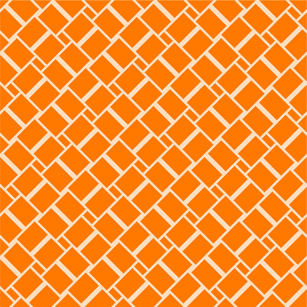 jonathan-gallegos-PgHc0Ka1E0A-unsplash 4