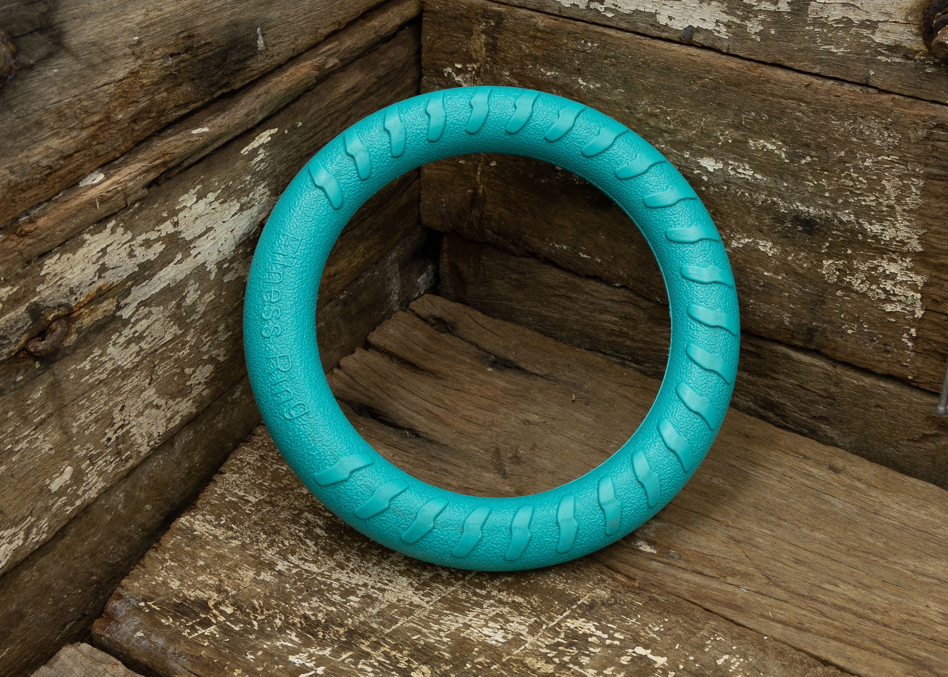 Nextgen DuraFoam Ring Teal - 18CM