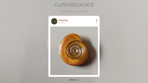 Inspiração do logo da marca