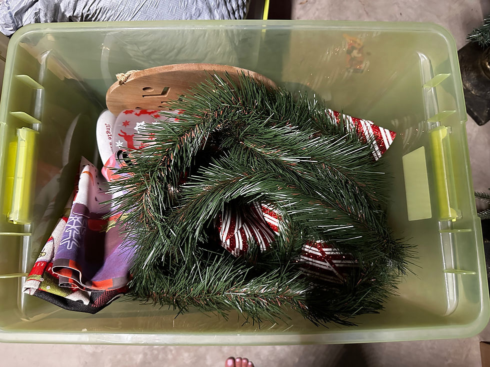 Random christmas decor ready to donate