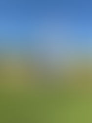 Riyadh, Rugby and Real-World Work: My Placement Year in Saudi