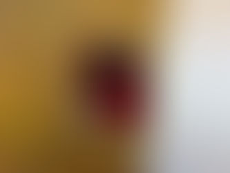 GHpuppy – Der verspielte Lutsch-Puppy am Gloryhole saugt die Herrchen trocken