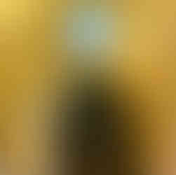 Gold Gloryholegays -Studio und Gayporno Creator