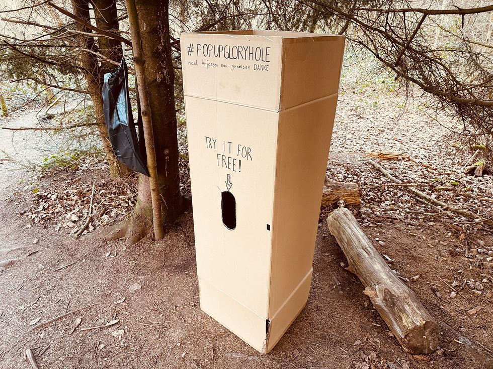 Boîte en carton, boîte en carton, gloryhole dans les bois, gloryhole, cruising gay