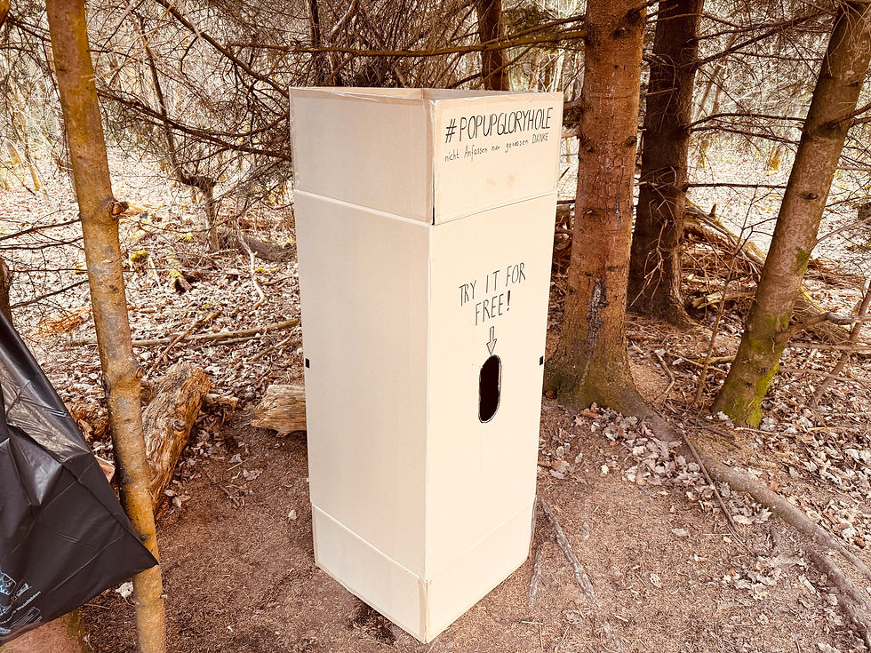 Boîte en carton, boîte en carton, gloryhole dans les bois, gloryhole, cruising gay