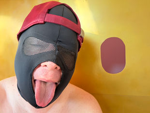 Erster Schwanz am neuen Gloryhole - Das goldene Gloryhole – Luxus, Lust und ein einzigartiges Erlebnis