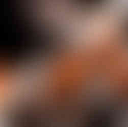 Maga gay love story online