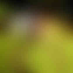 Shirtless tennis player cooling down, water bottle in hand