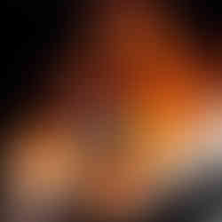 A well-trained upper body glistens with sweat on the upper sauna bench.