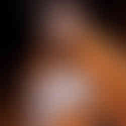 Maga gay love story online