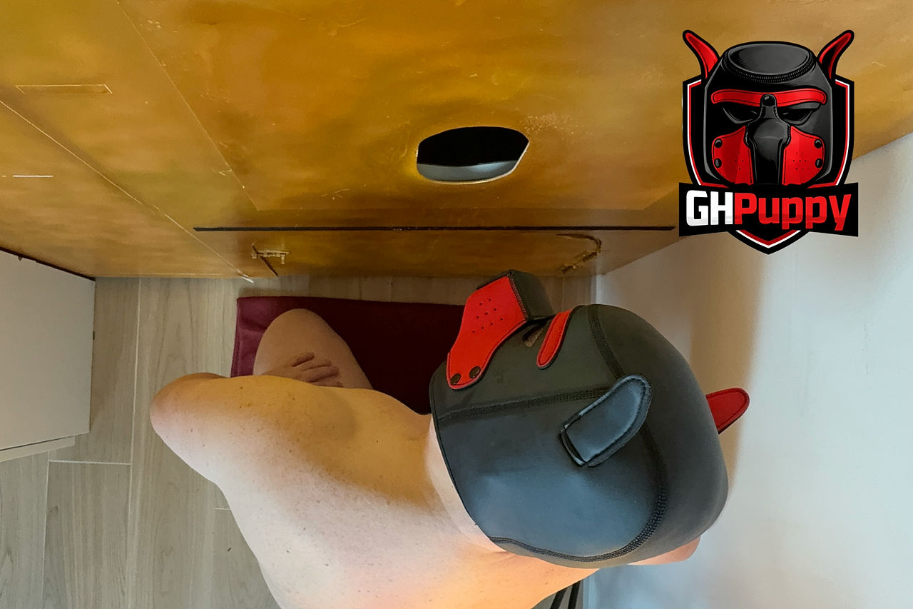 gay porn Puppys VOR und HINTER der Gloryhole-Wand