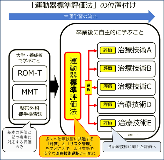 運動器理学療法評価の位置付け (2).png