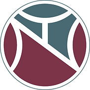 TN Logotype colors (transparent).png