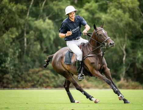 thoroughbred in sport