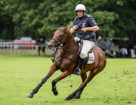 Thoroughbred in Sport