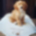 image1 (7).jpeg