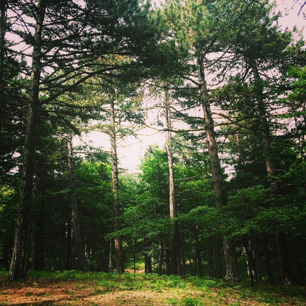 Hüseyinalan - Doburca-Odunluk