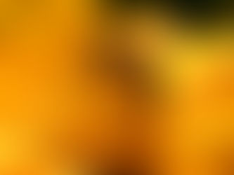 Nectar Crack  Keygen Full Version [Mac/Win] [2022]