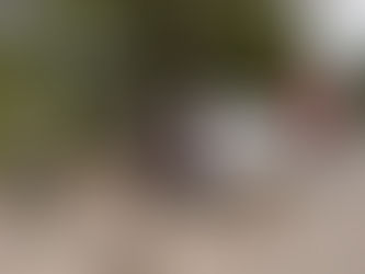 האגם של מריאן