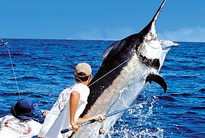 torneo-de-pesca-puerto-vallarta.jpg
