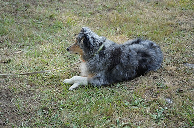 DSC00615.JPG