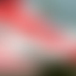 Hangin' with the Racing Family