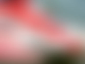 Hangin' with the Racing Family