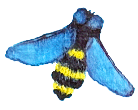icon-bee-right.gif