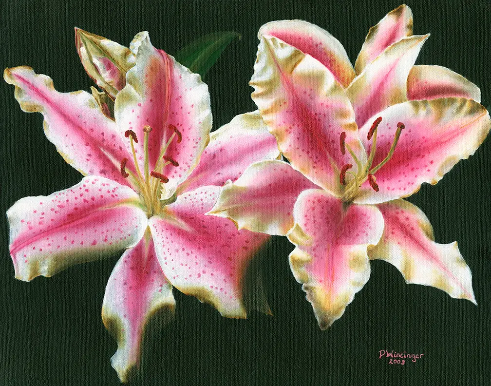 "Stargazer Lilies" prints