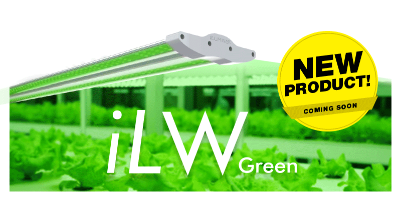 Green-Grow-light.gif