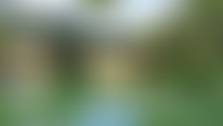 Solidariedade vem à cavalo