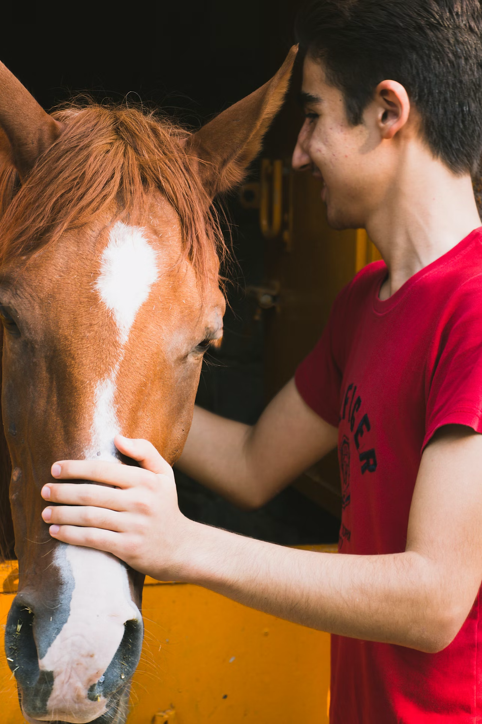 young man smiling while petting a horse