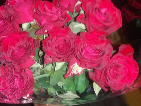 The Beauty of Impermanence