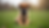 Eye-level view of a Belgian Malinois puppy sitting on a grassy field