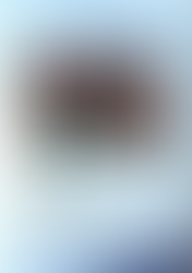 クラブ会報第6号を発行しました