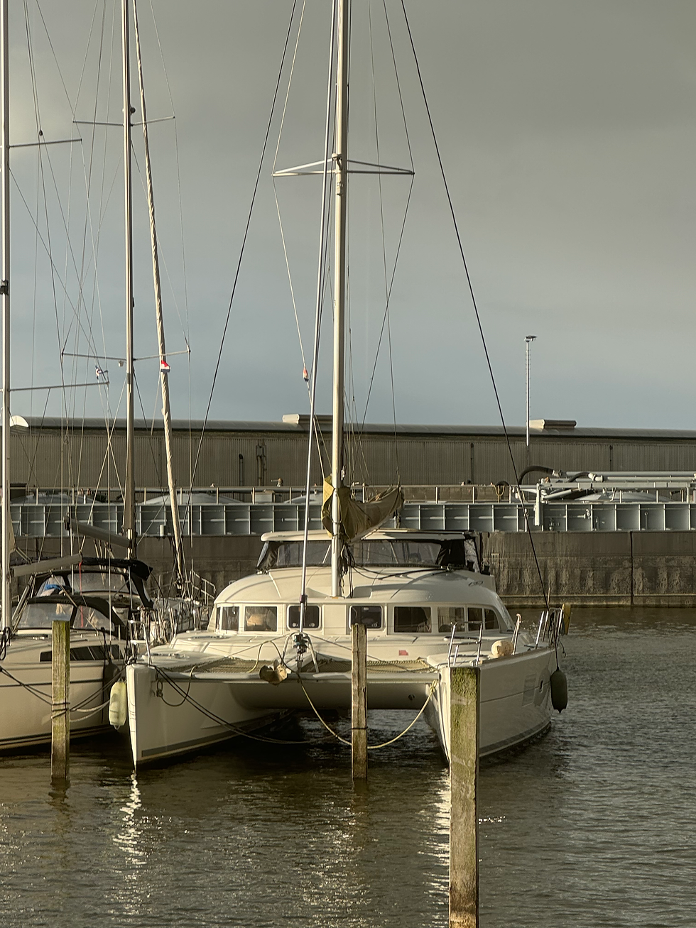 Katamaran Maido Winterhafen Lemmer