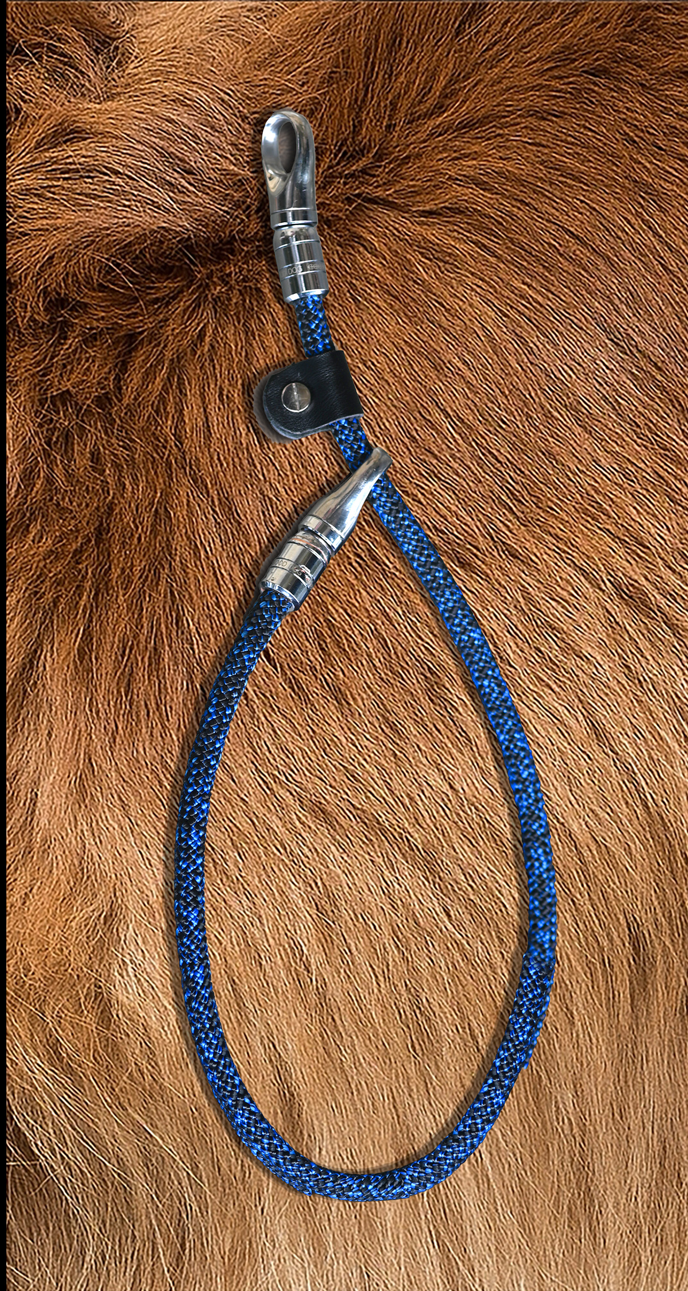 Aluminum Beverage Can   