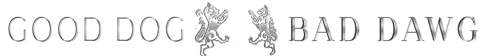BANNER HOME PAGE GDBD NSFB.png
