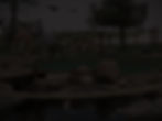 486722709_1083902757106398_3659746869328449960_n_edited.jpg