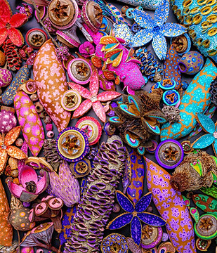 Kaleidoscopic-Seedpod-Harvest-original.jpg