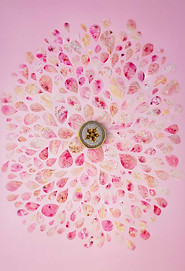 Petals-in-Radiance-original.jpg