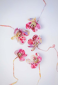 Dances-of-Flowers-original.jpg