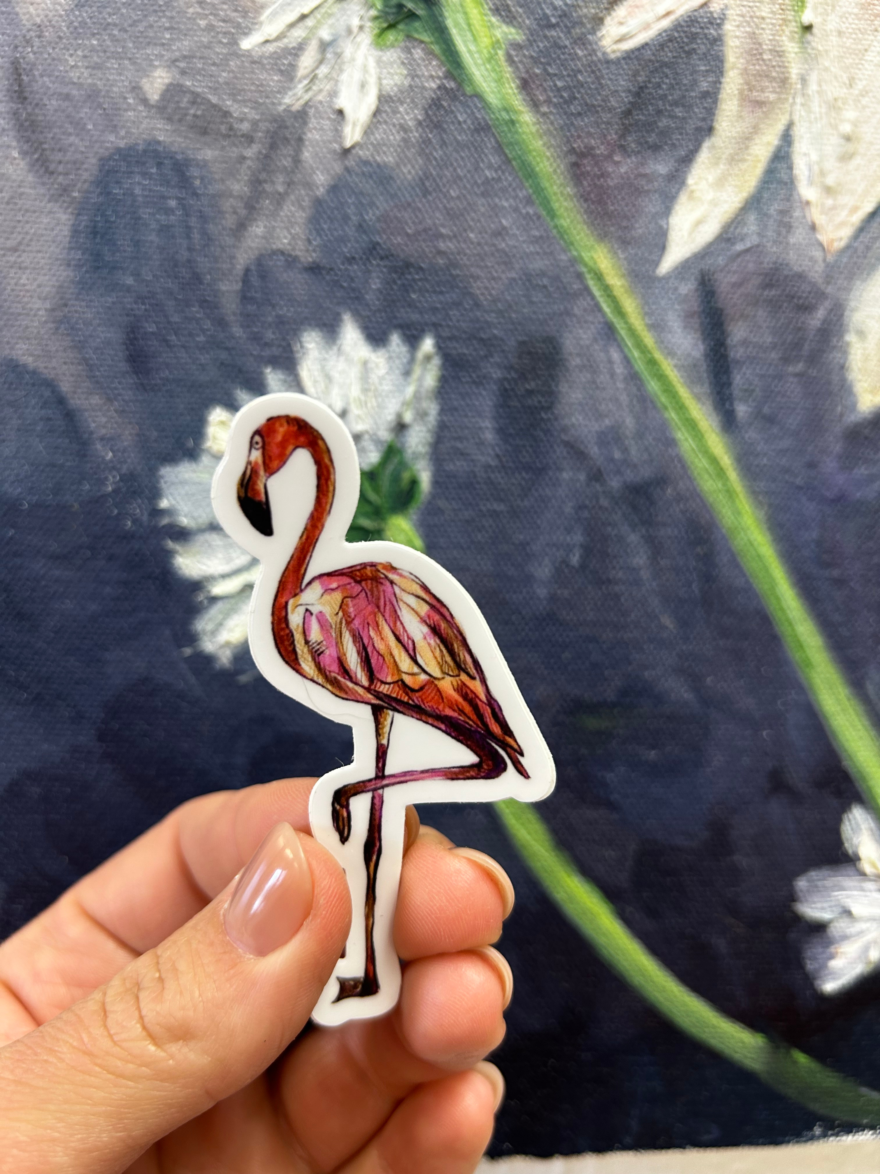 Flamingo