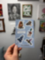 Thumbnail: Birds of Colorado (Sticker Sheet)