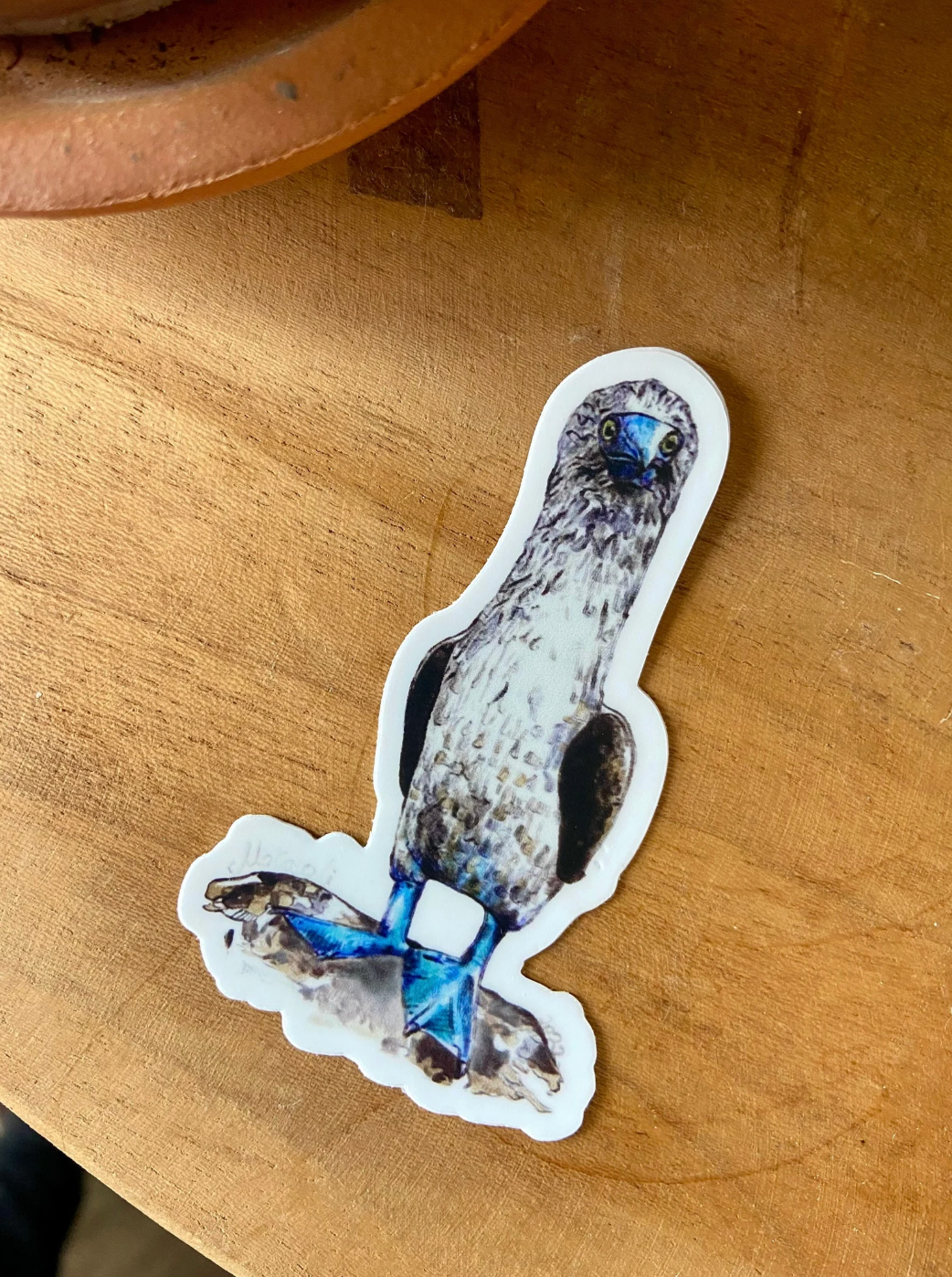 Blue-Footed Booby