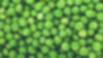 hintergrund erbsen homepage_edited.jpg