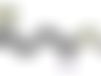 L-Theanine - Tea's super power